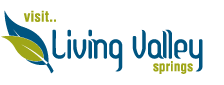 LVS logo